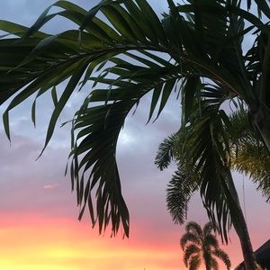 Meet your Posher, Cassidy